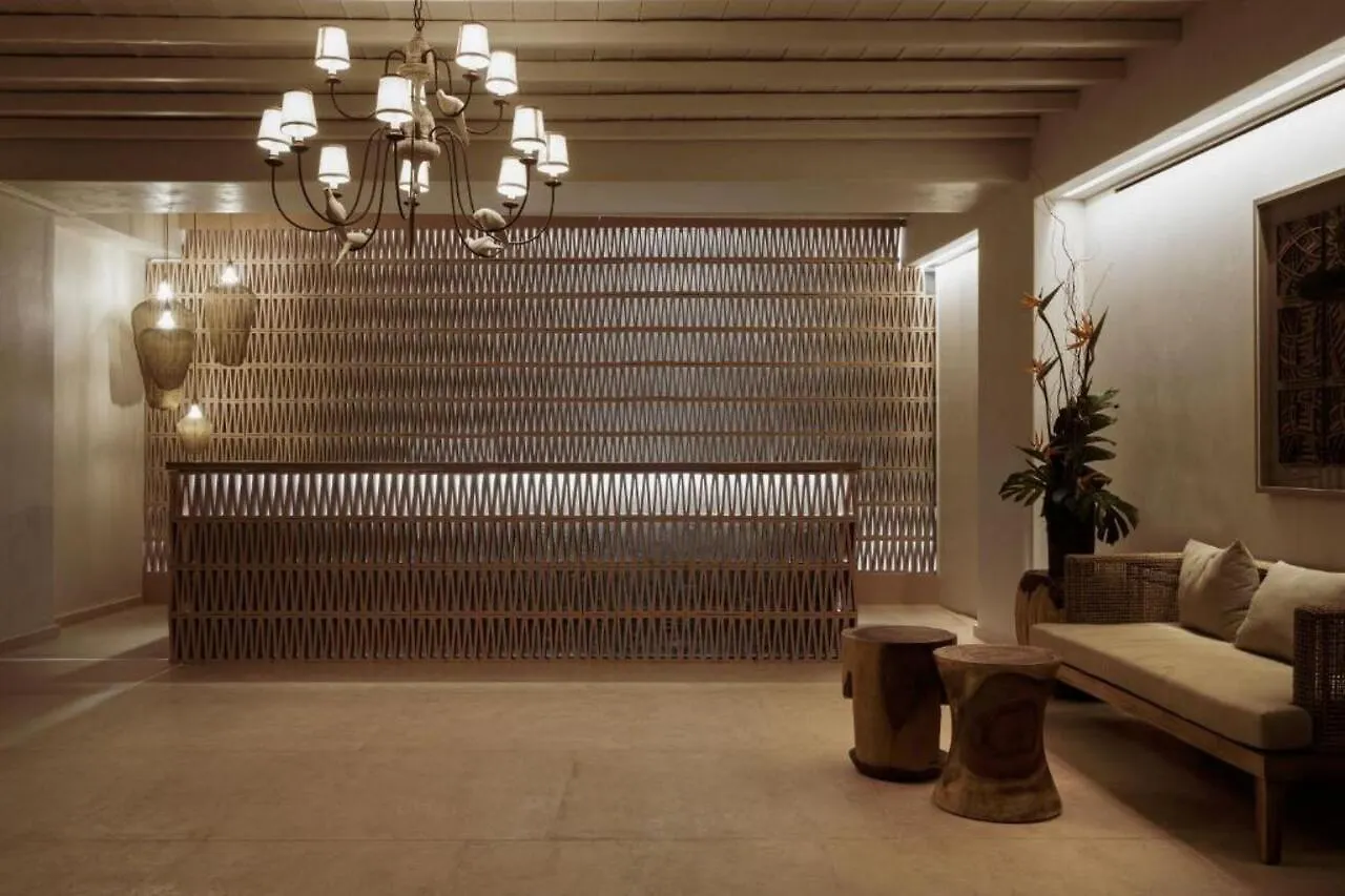 Asty Mykonos Hotel And Spa Drafaki