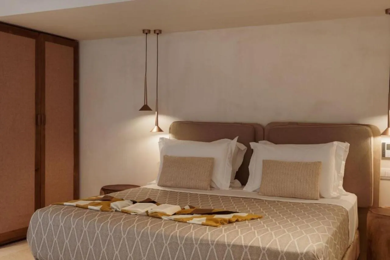 Asty Mykonos Hotel And Spa Drafaki